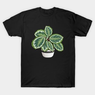 Calathea T-Shirt